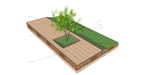 Projektowanie nawierzchni ogrodowych wokół drzew, tak aby rośliny mogły swobodnie rosnąć